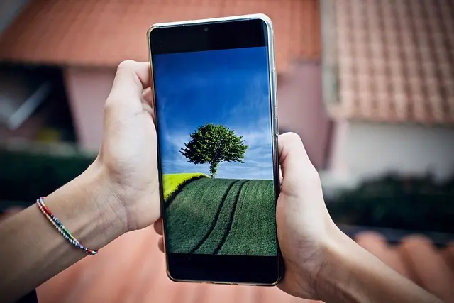 5 Consejos para Elegir un Sistema de Alarma Eficaz para Tu Hogar